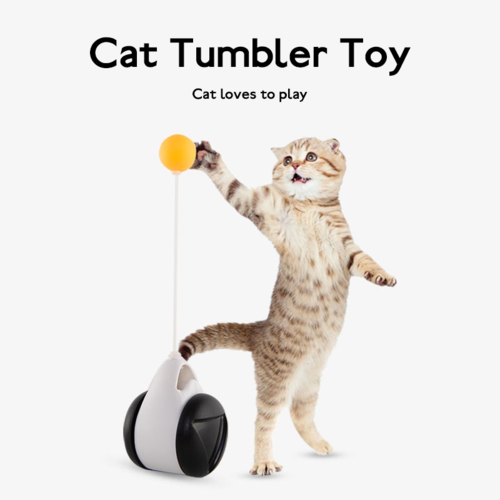Interactive Balance Cat Toy